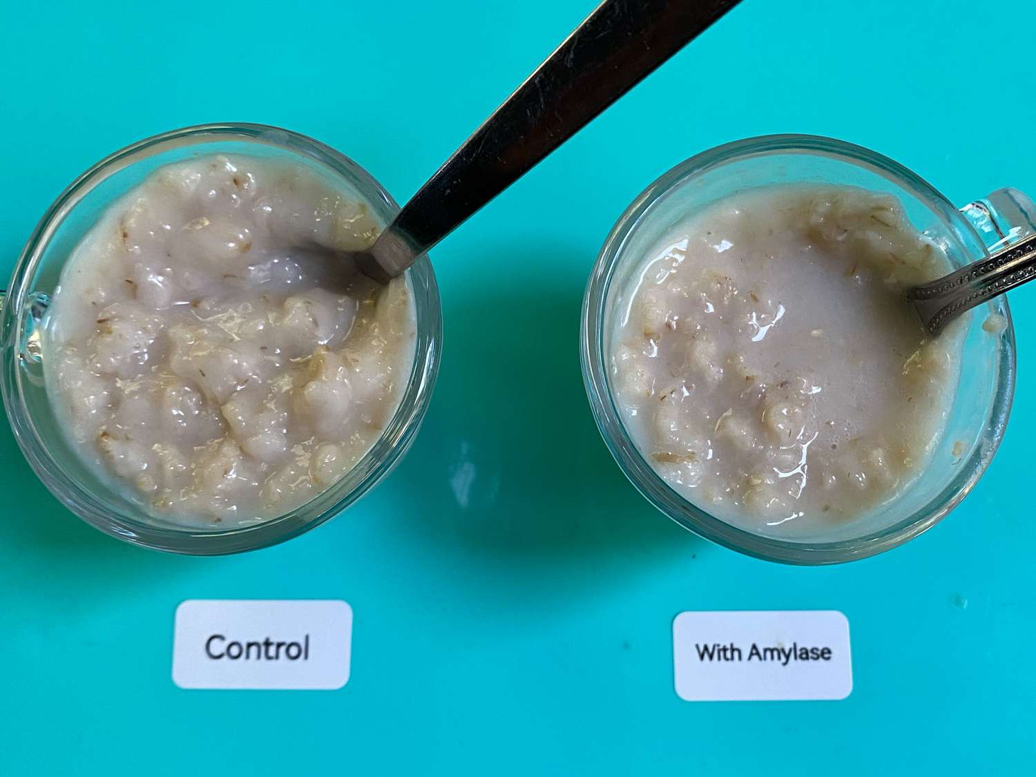 OVerhead view of oatmeal