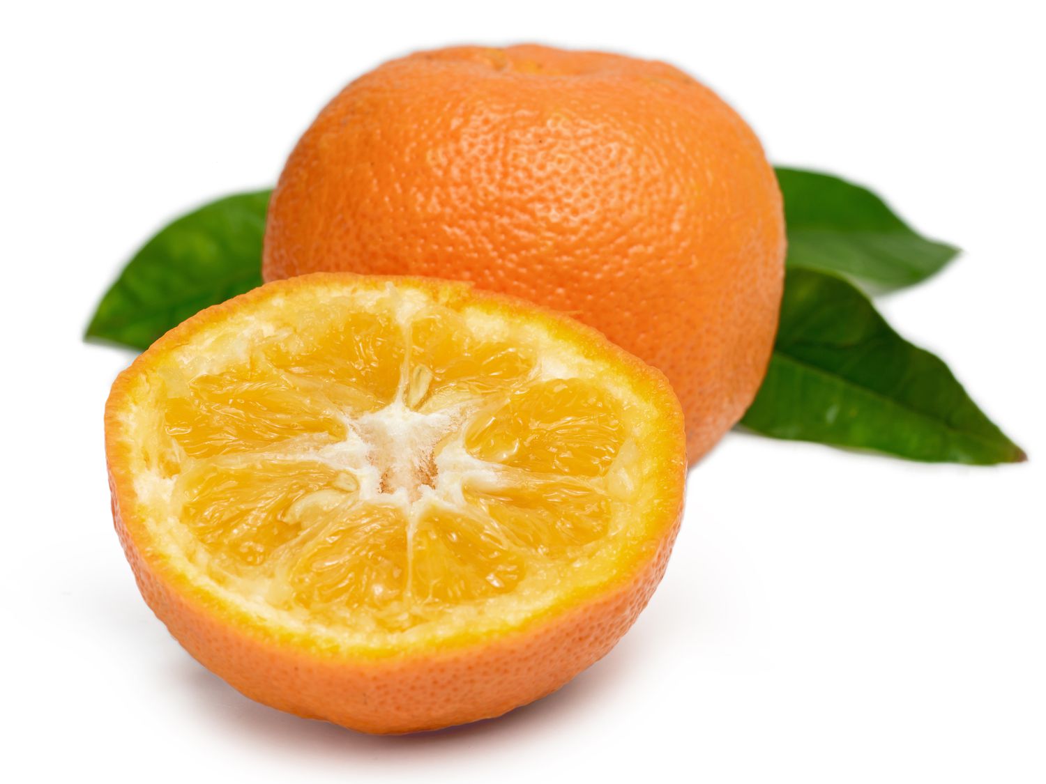 Seville Orange 