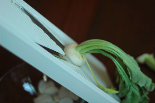 Hakurei turnips being sliced with a mandoline.