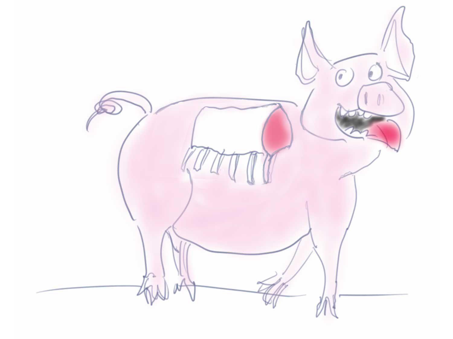 pig-illo-daniel-gritzer.jpg