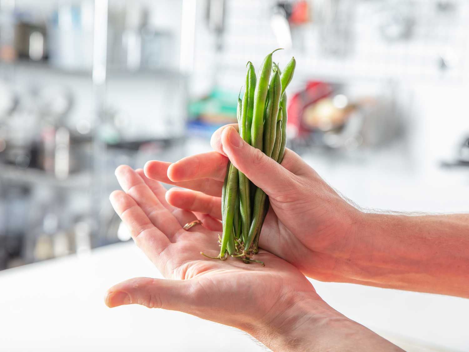 Gathering green beans into a bunch for trimming.