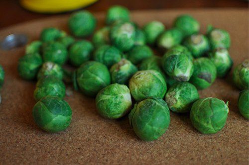 20120102-185976-whole-sprouts-1.jpg
