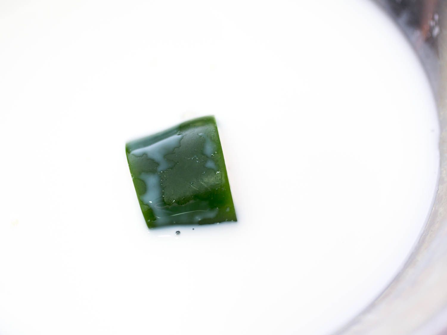 Close-up of a jalapeño ring in as bowl of milk. The exposed surface of the chile is green without a trace of milk clinging to it.