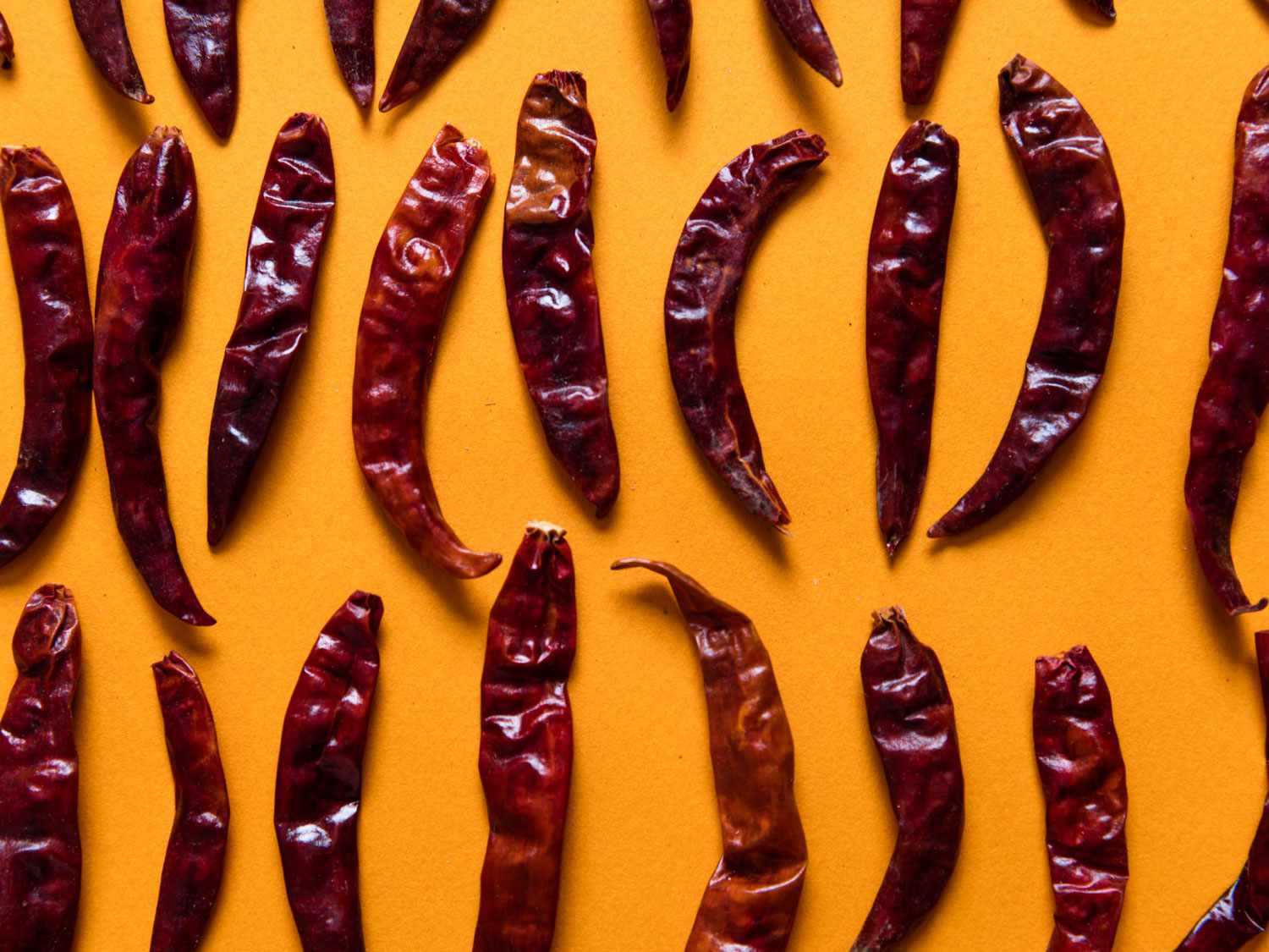 Slender red dried árbol chilies lined up against an orange background