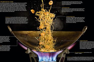 Wok Cutaway primary.jpg