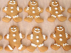 20111213-183050-gftues-gingerbread-primary.jpg