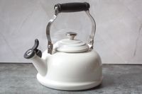 A kettle with a handle and spout on a countertop