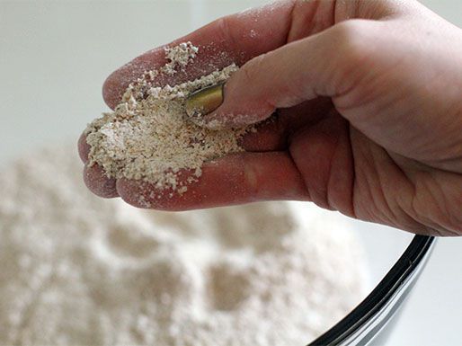 Author's hand shows the consistency of graham flour.
