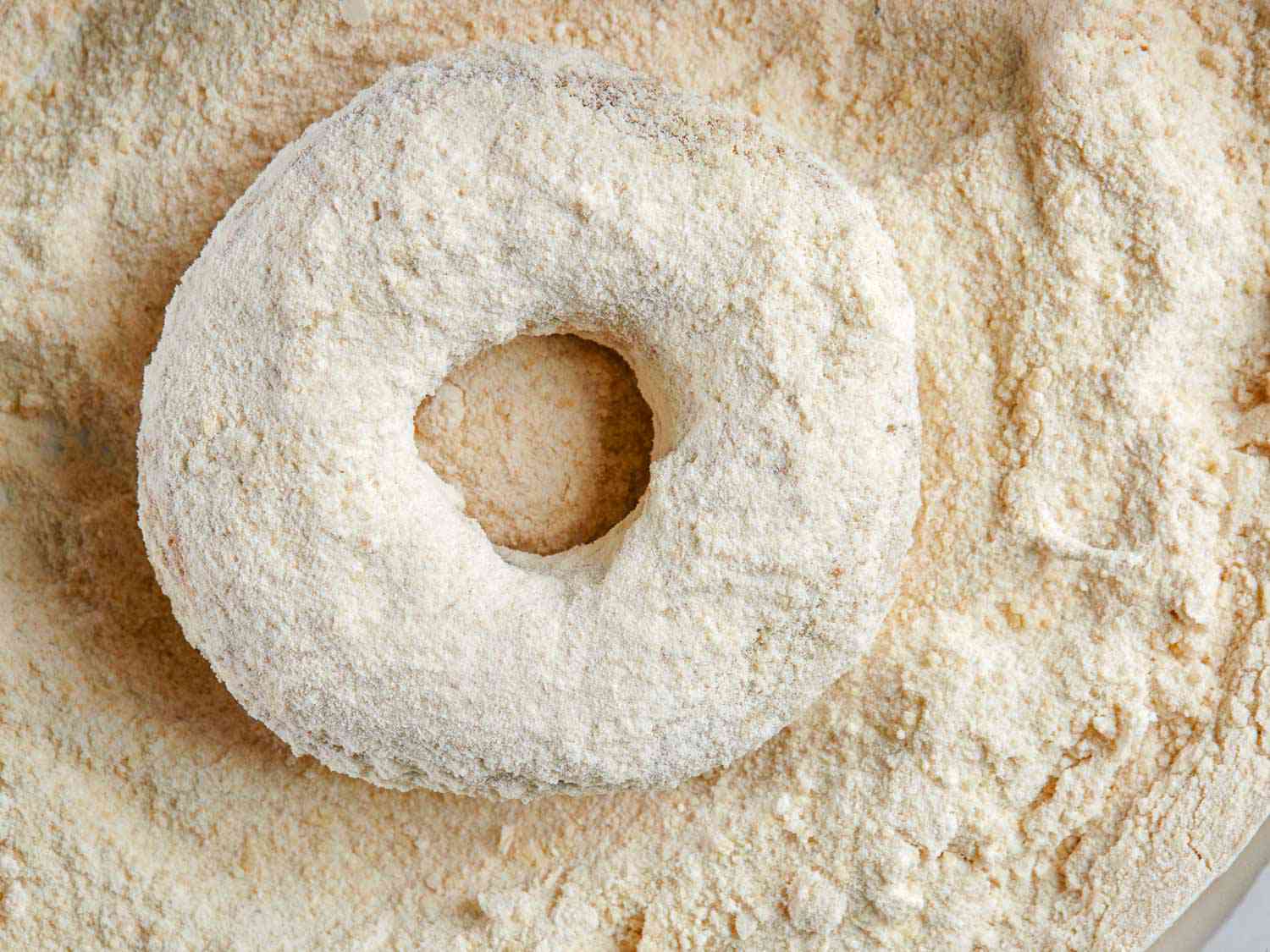 20191021-apple-cider-donuts-sarah-jane-webb-22