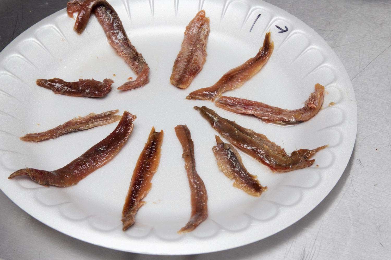 Samples of different anchovies on a plate