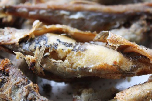 Close-up of a fried shishamo. The bottom of the fish has ruptured from frying and a sac of roe lies underneath.