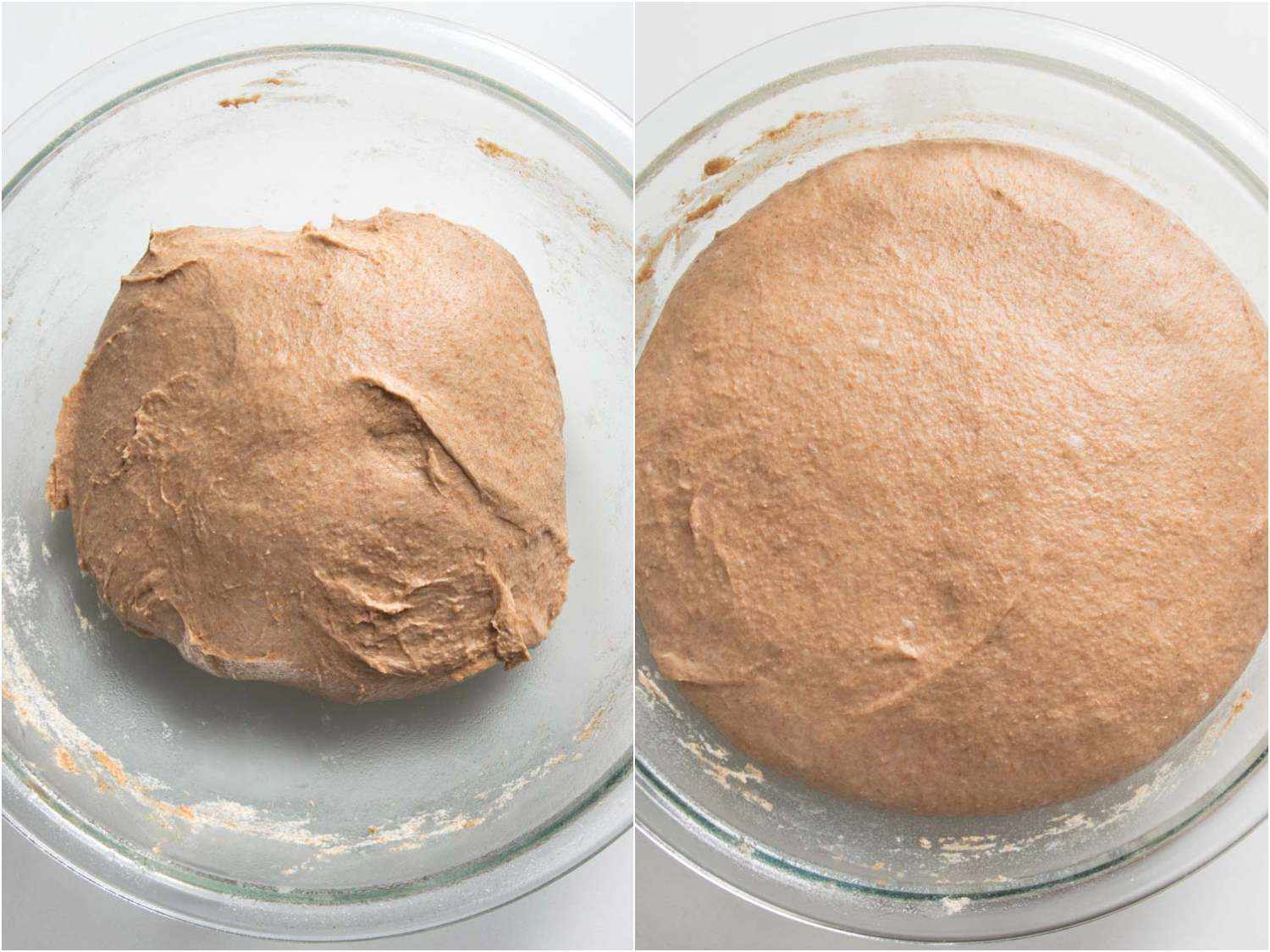 Collage of 100% whole wheat bread dough rising in a glass bowl