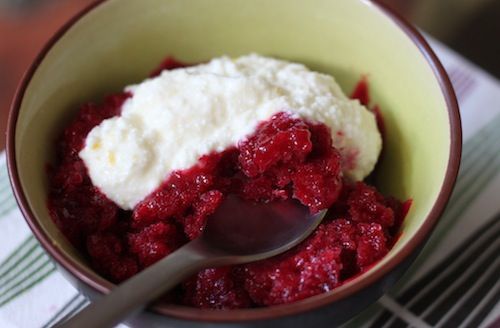 20100712-granita roasted plum.JPG