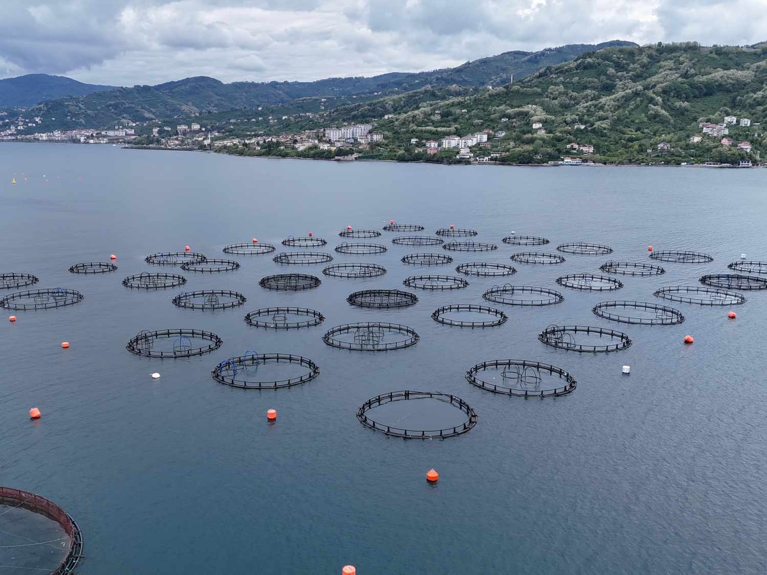 Turkish Salmon Fish Farm seen Ordu, Turkiye on May 29, 2025