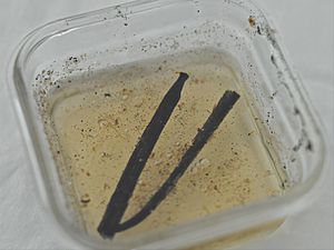 Vanilla bean simple syrup.jpg