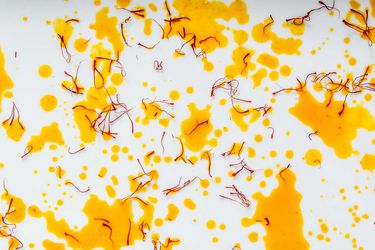 20180810-saffron-vicky-wasik-13