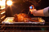 A person using a thermometer to take the temperature of a roast chicken in the oven.