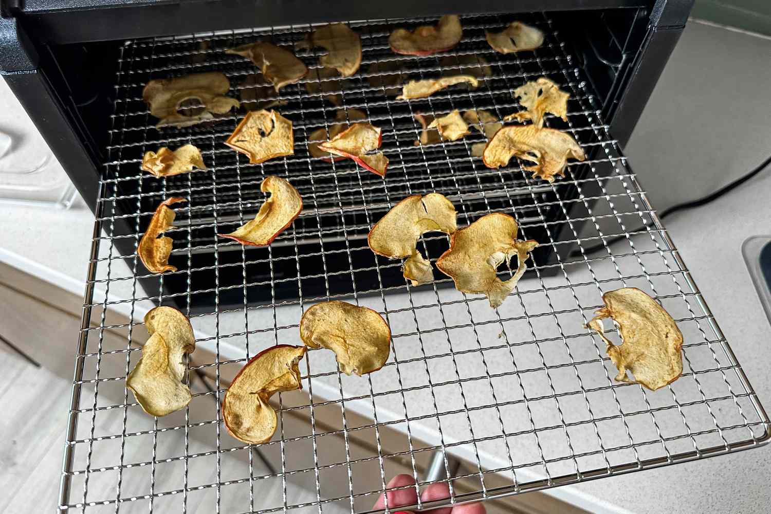 Apple chips drying in the Samson Silent food dehydrator