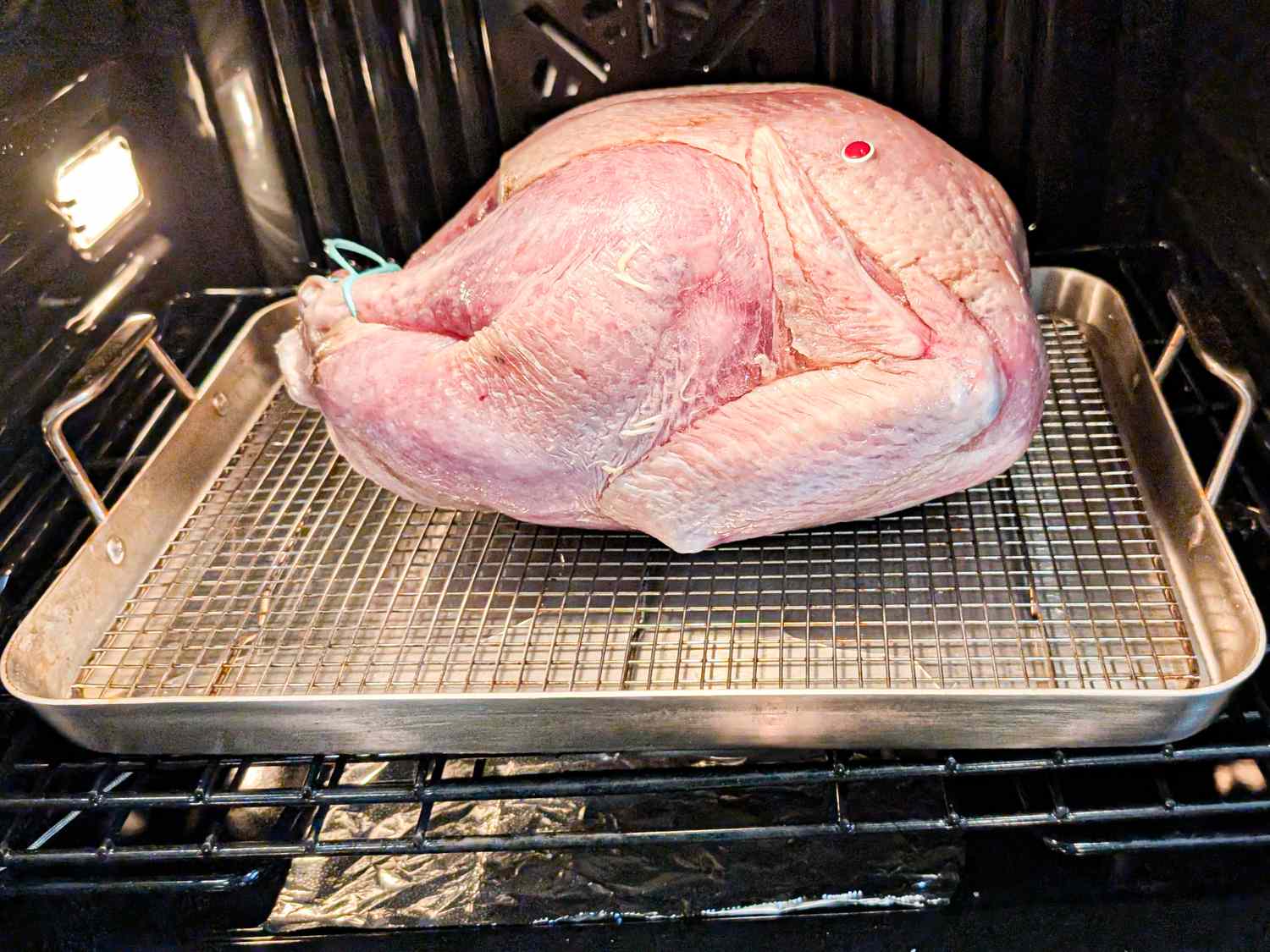 A turkey placed in an oven on a roasting pan with a rack