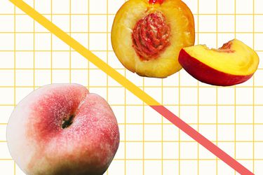 Peaches vs Necatrines