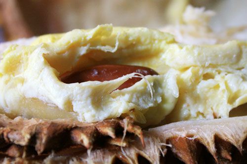 20101022-durian-closeup.jpg