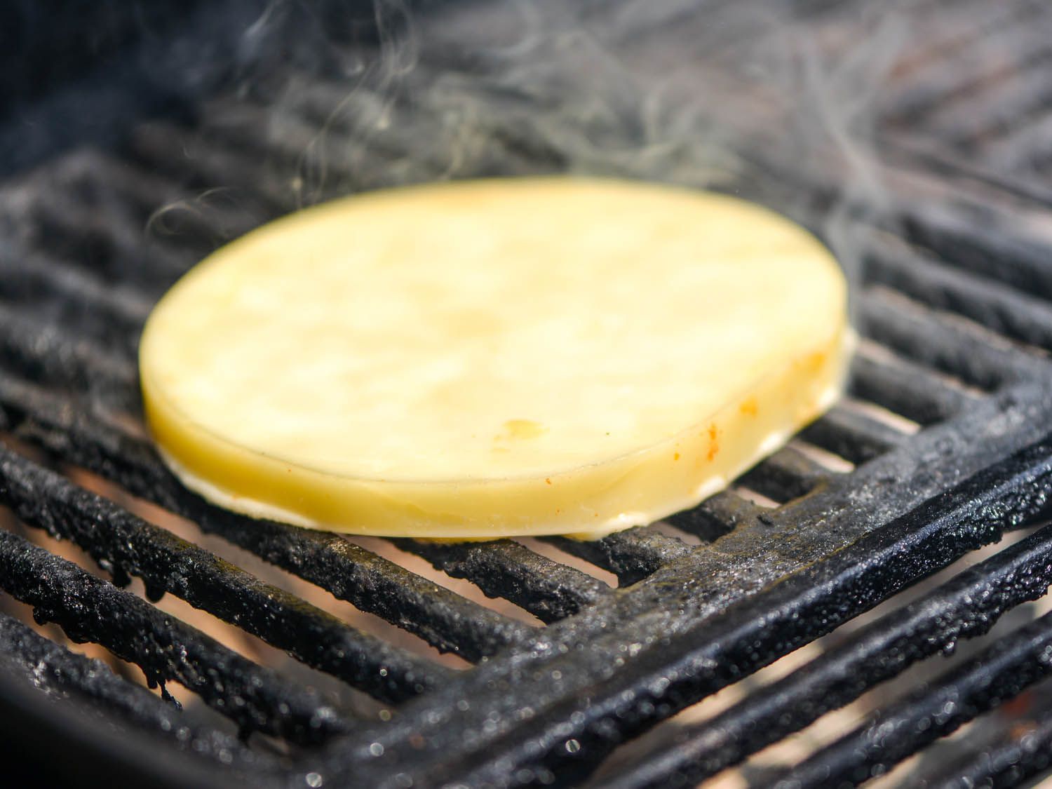 thick slice of provolone on the grill