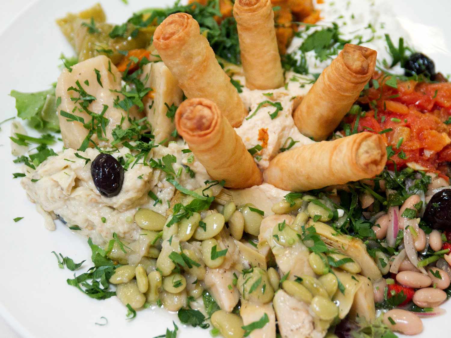 A mixed appetizer platter at a Turkish restaurant