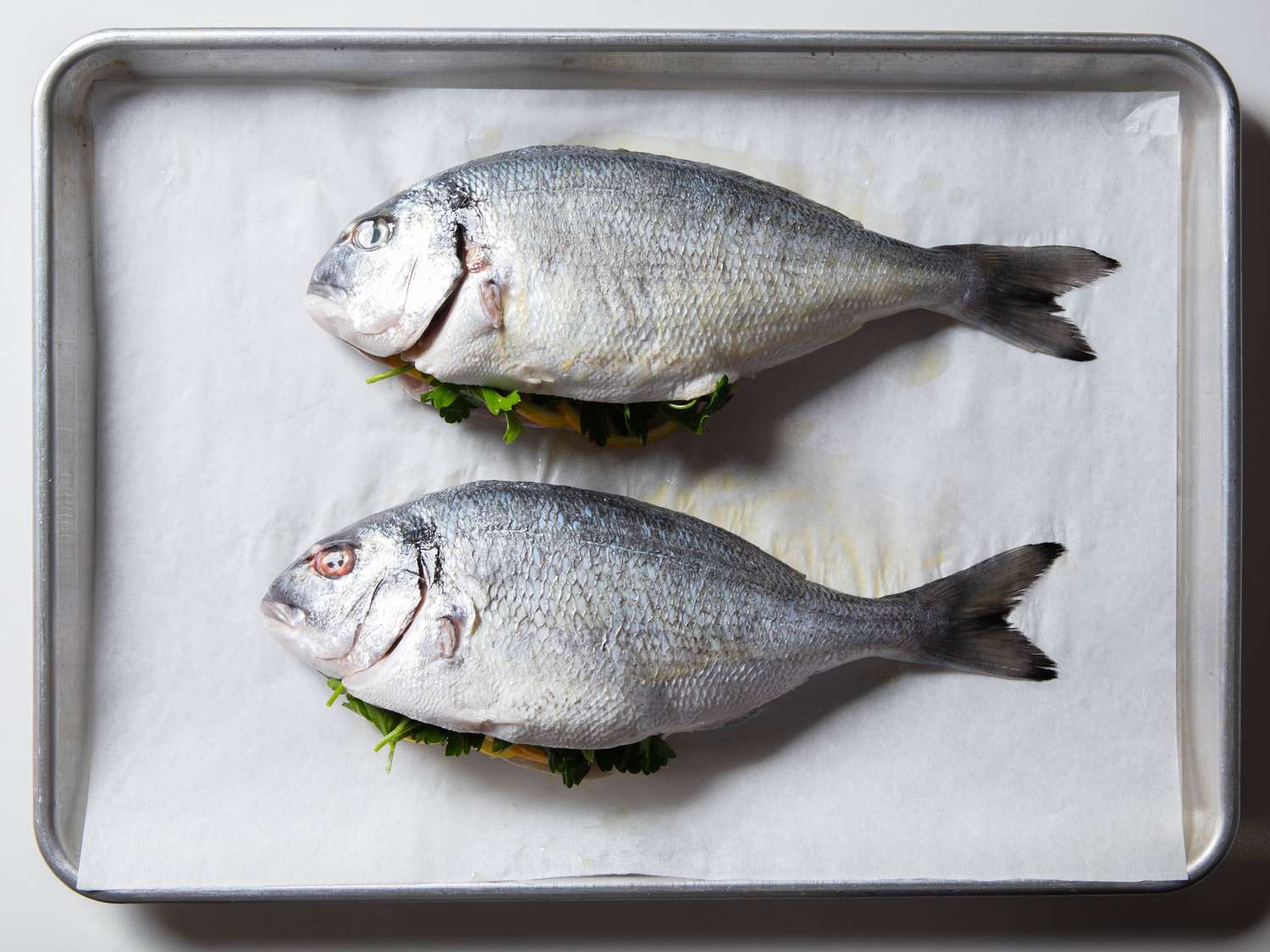 Two whole fish sit on a baking sheet lined with parchment, their cavities are stuffed with herbs and lemon slices
