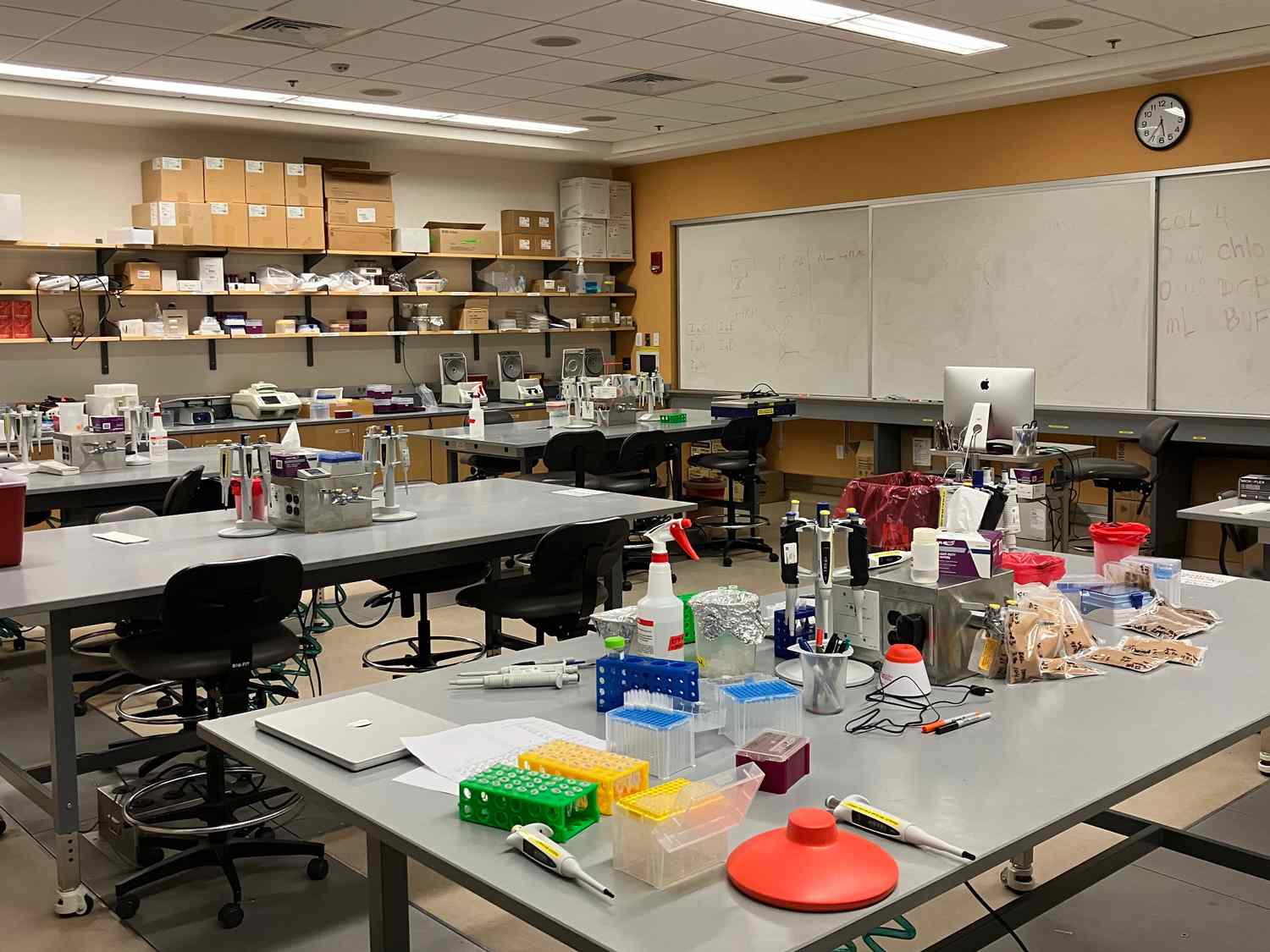 View of the Harvard lab where bean testing took place