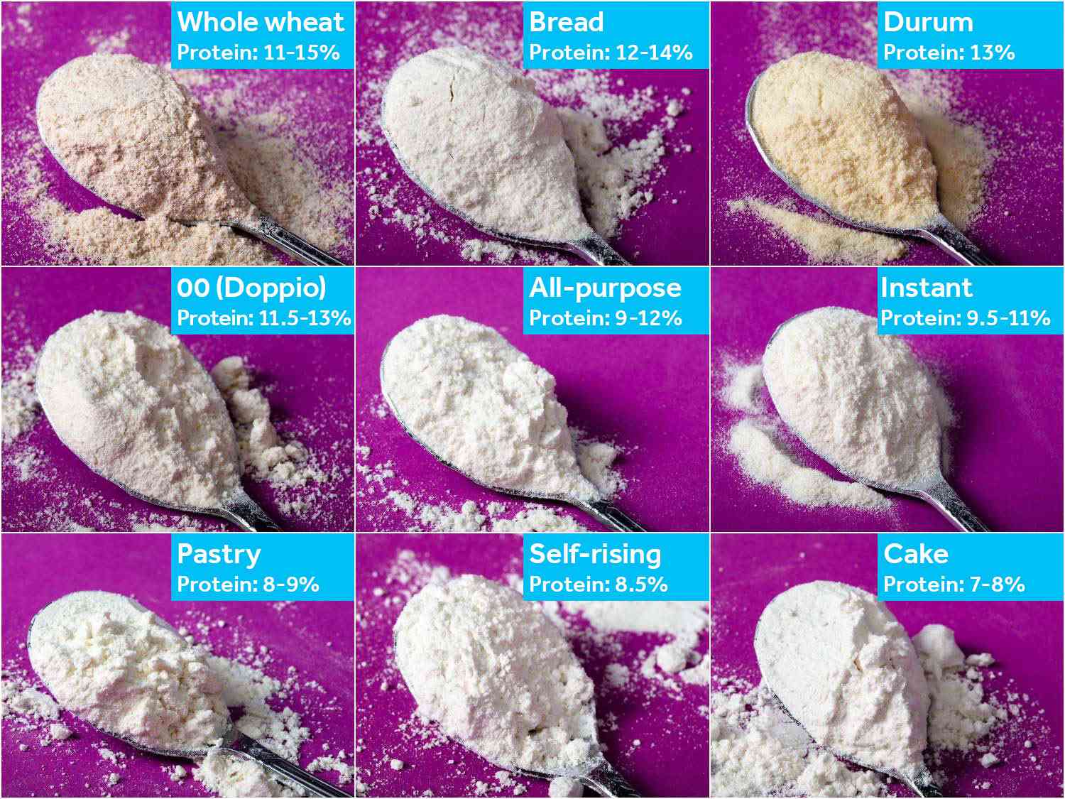 A collage of different wheat flour types and their protein contents.