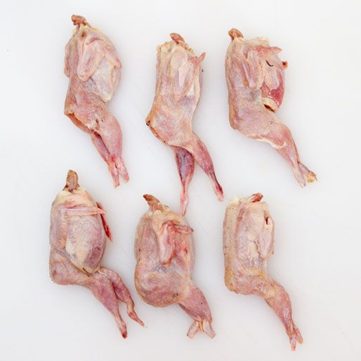 20120724-nasty-bits-raw-quail-square.jpg