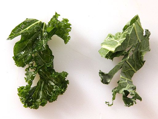 Two varieties of kale: curly kale on the left and lacinato kale on the right. 