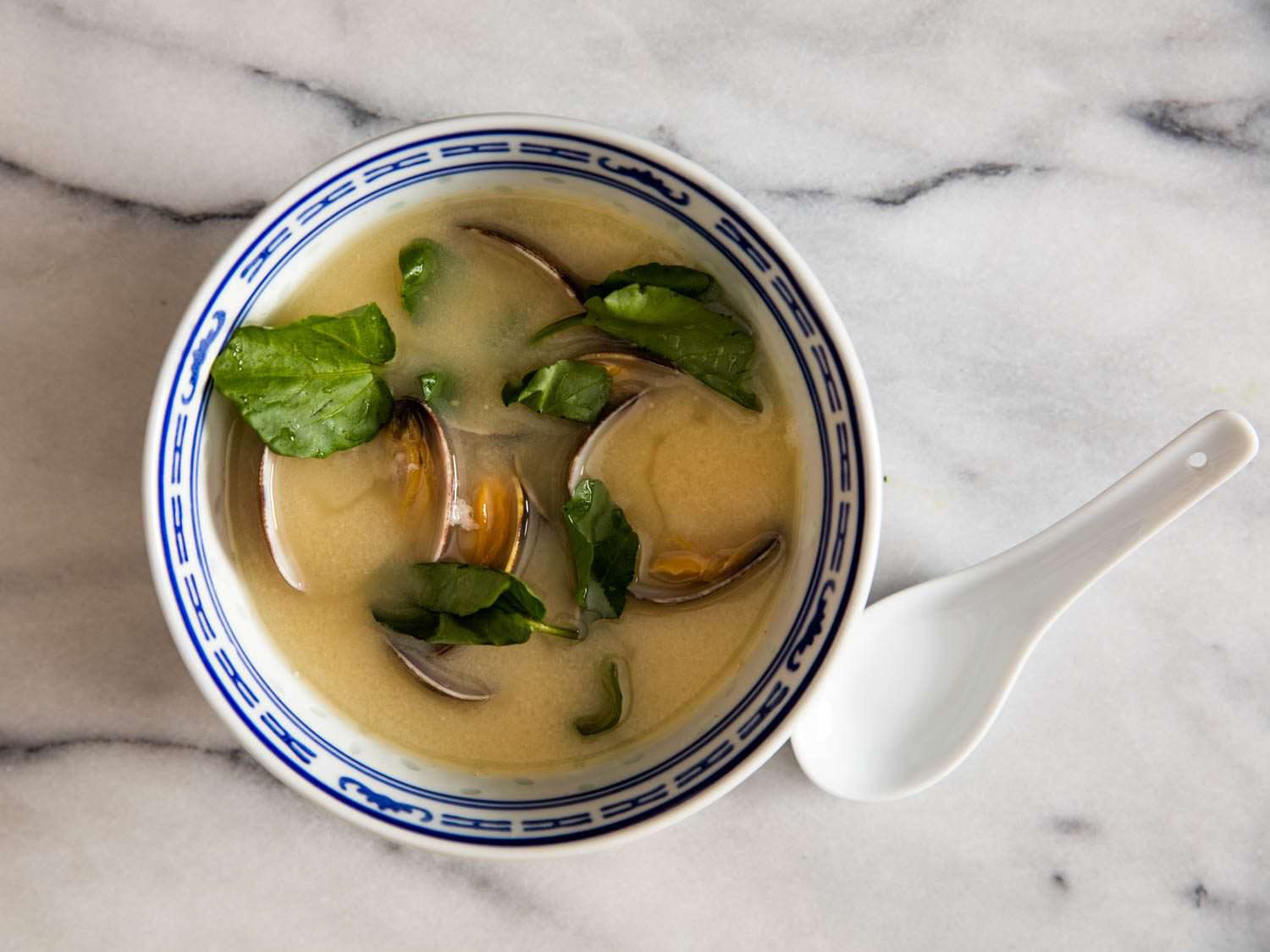 Overhead of a white and blue bowl filled with miso soup with clams.