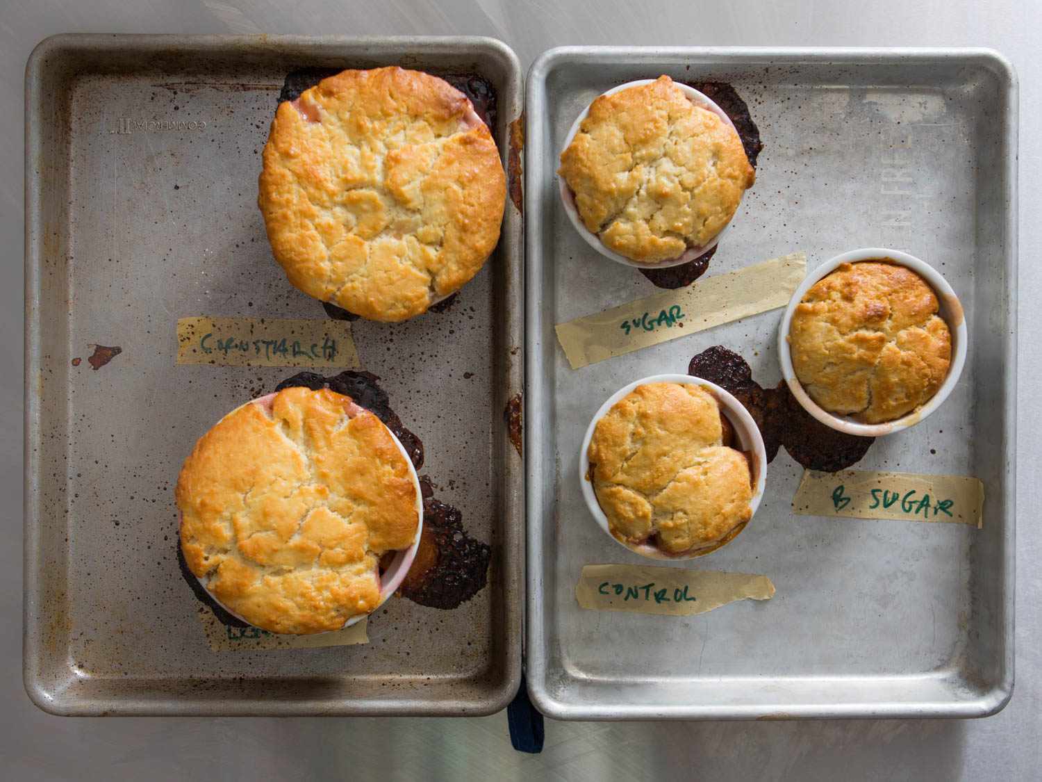 Five test batches of cobbler made in small ramekins.