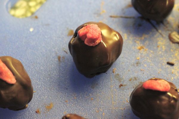 coated truffles garnished with candied petals