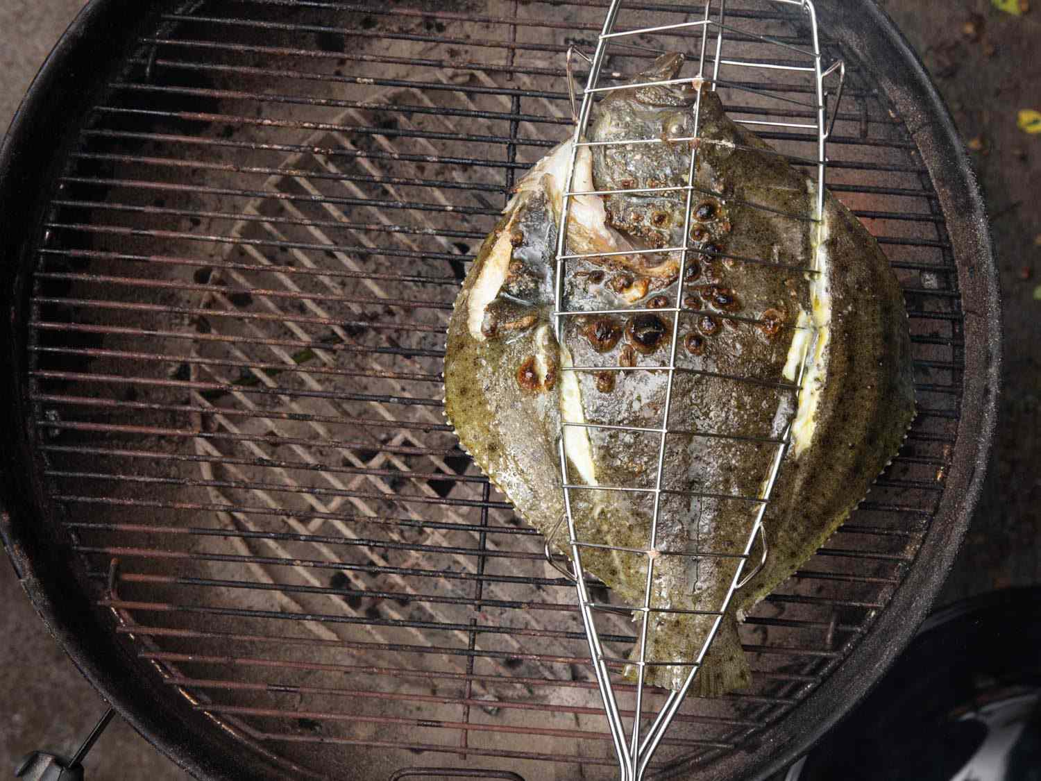 Overhead of turbot cooking in a fish-grilling cage on a charcoal grill, with dark skin side facing up