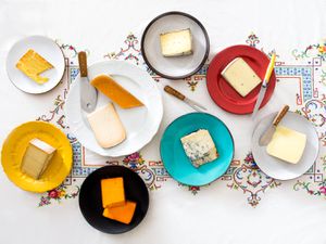 A cheese spread laid out across a long table.