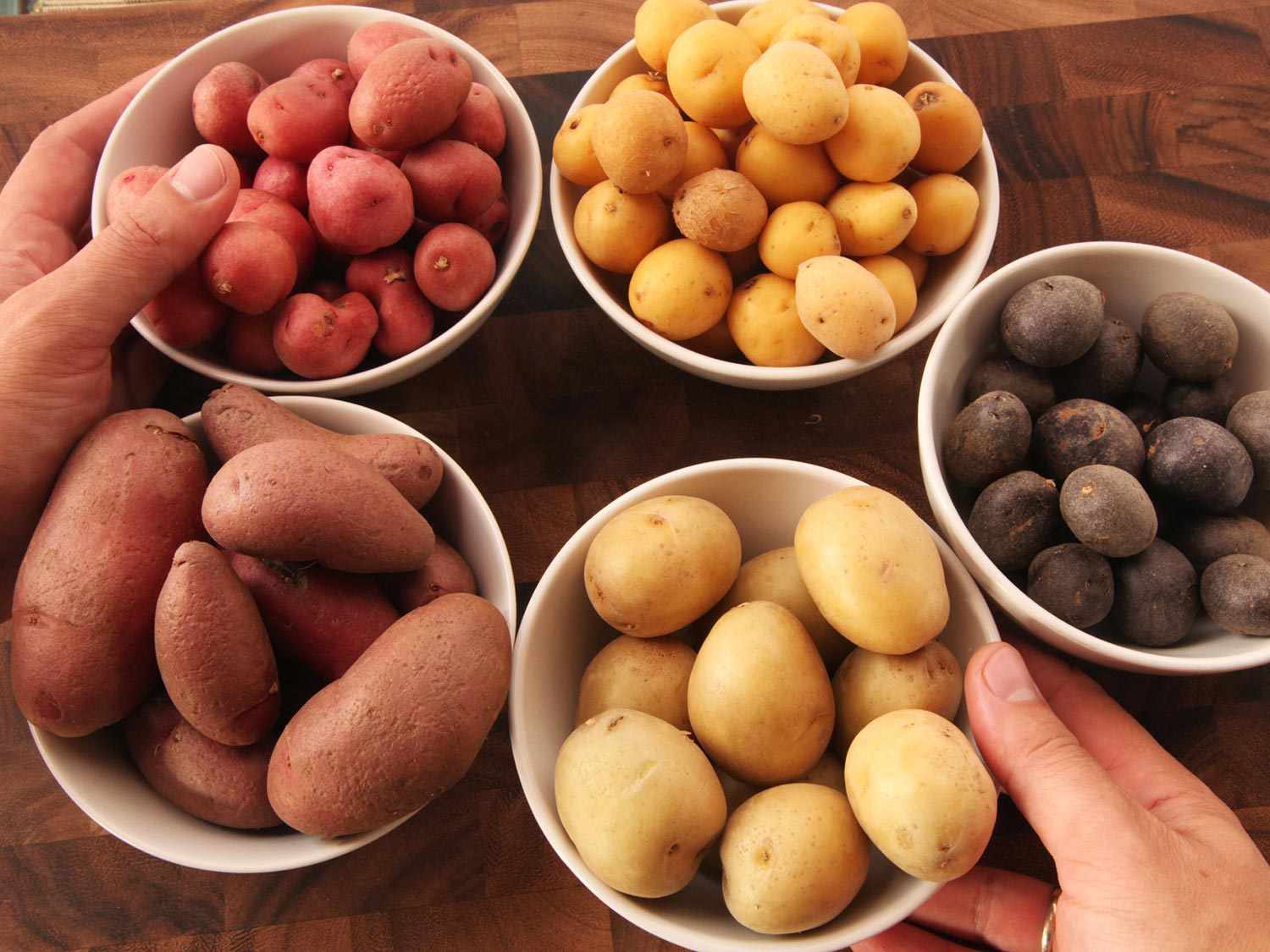 Selection of new potato varieties in individual bowls
