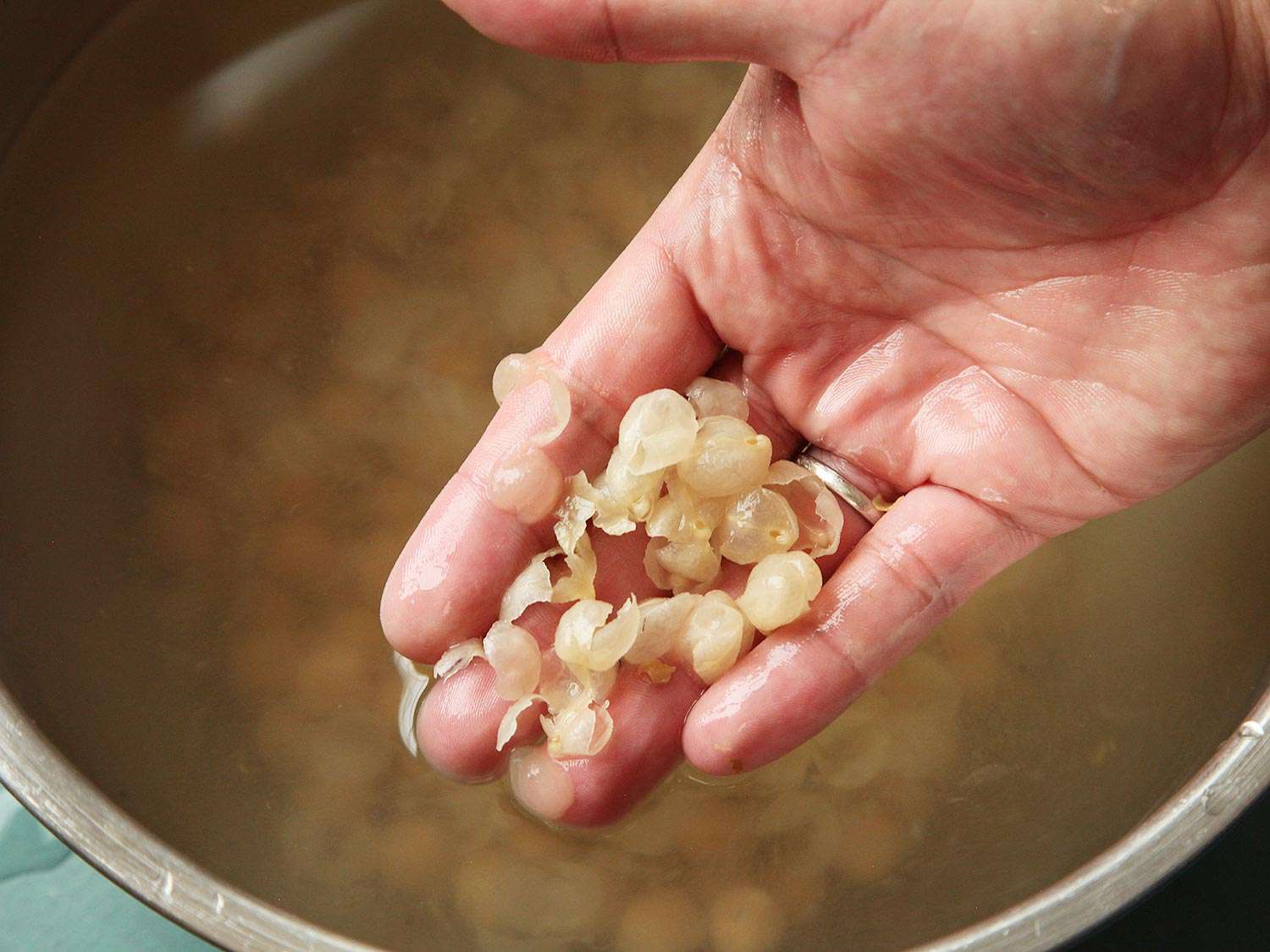 A hand holding papery chickpea skins, above a bowl of chickpeas soaking in water