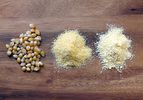 From left: whole popcorn kernels, freshly milled cornmeal made from popcorn kernels, and store-bought cornmeal.