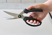 A person holding the OXO poultry shears.