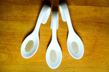 20101103 yeasts 3.JPG