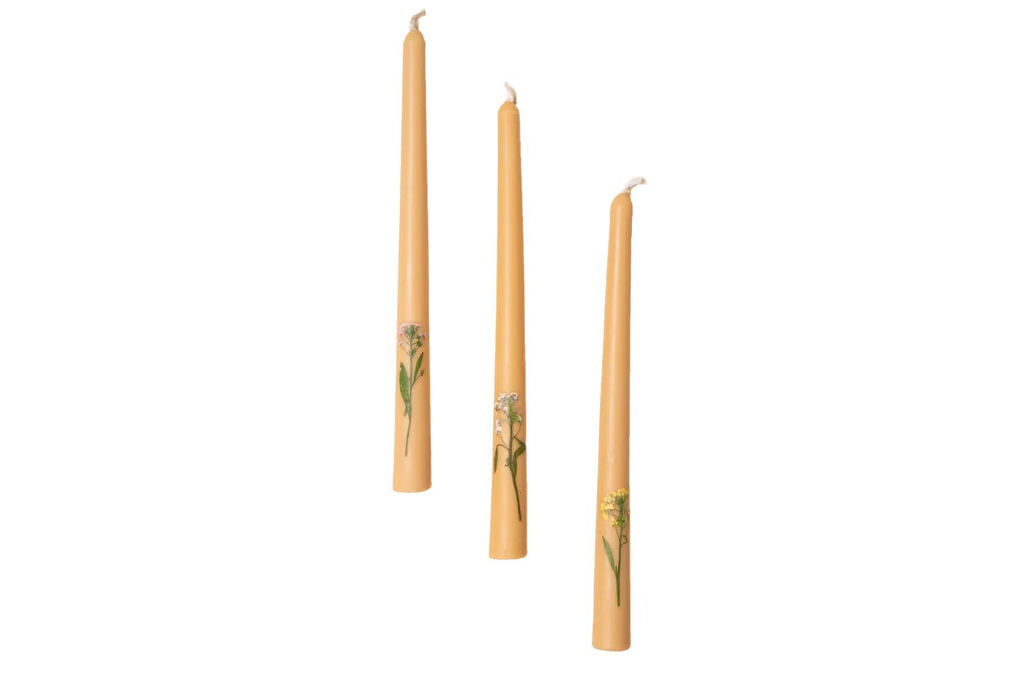 East Fork Pressed Flower Tapers