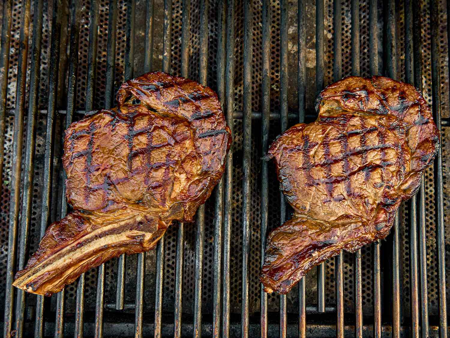 Two grilled bonein steaks with grill marks placed on a metal cooking grate