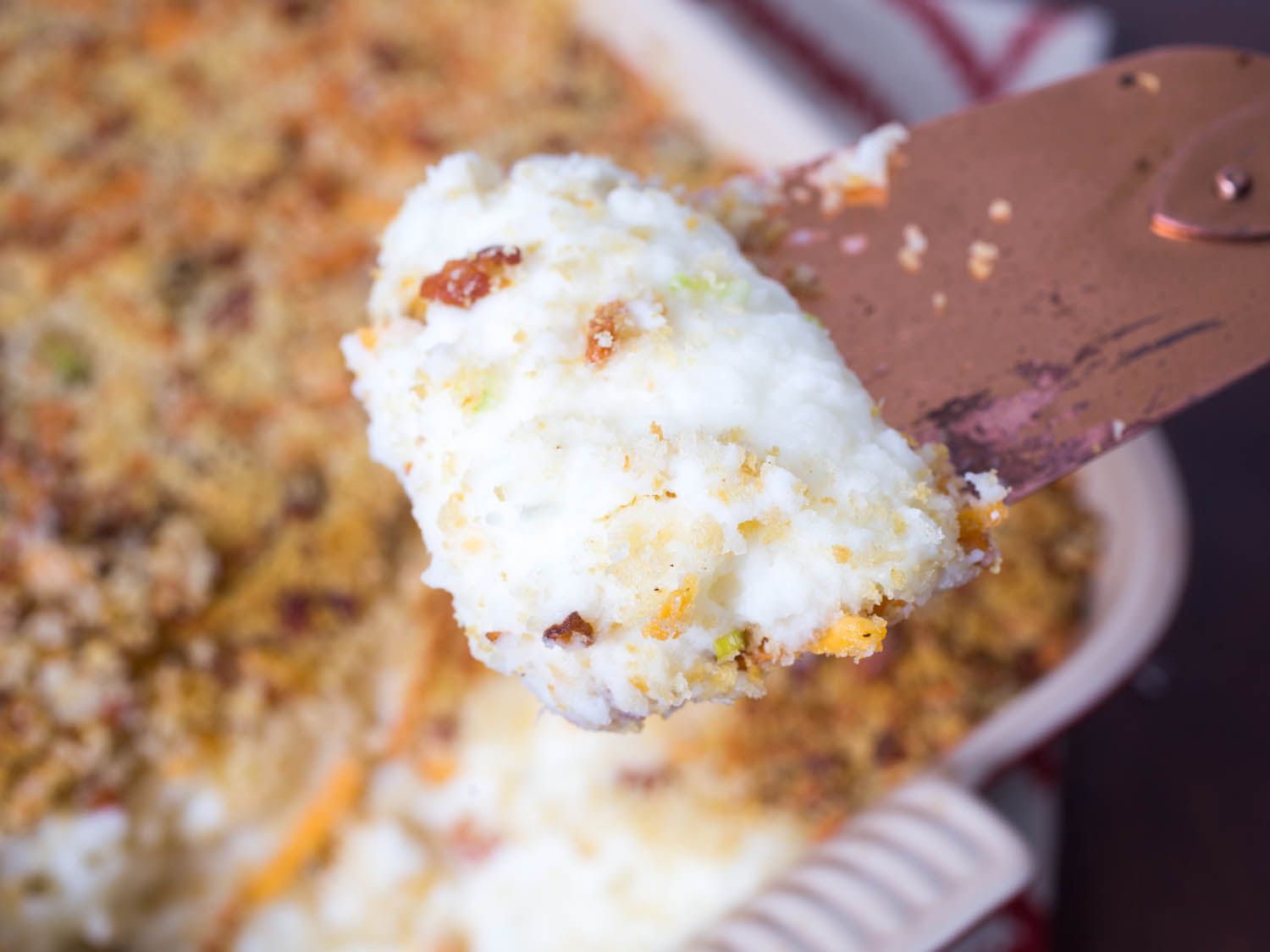 Creamy mashed potatoes dished out of casserole.