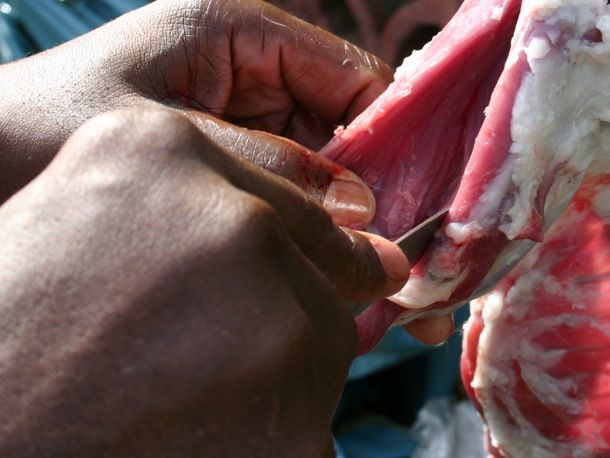 Removing musk and fat