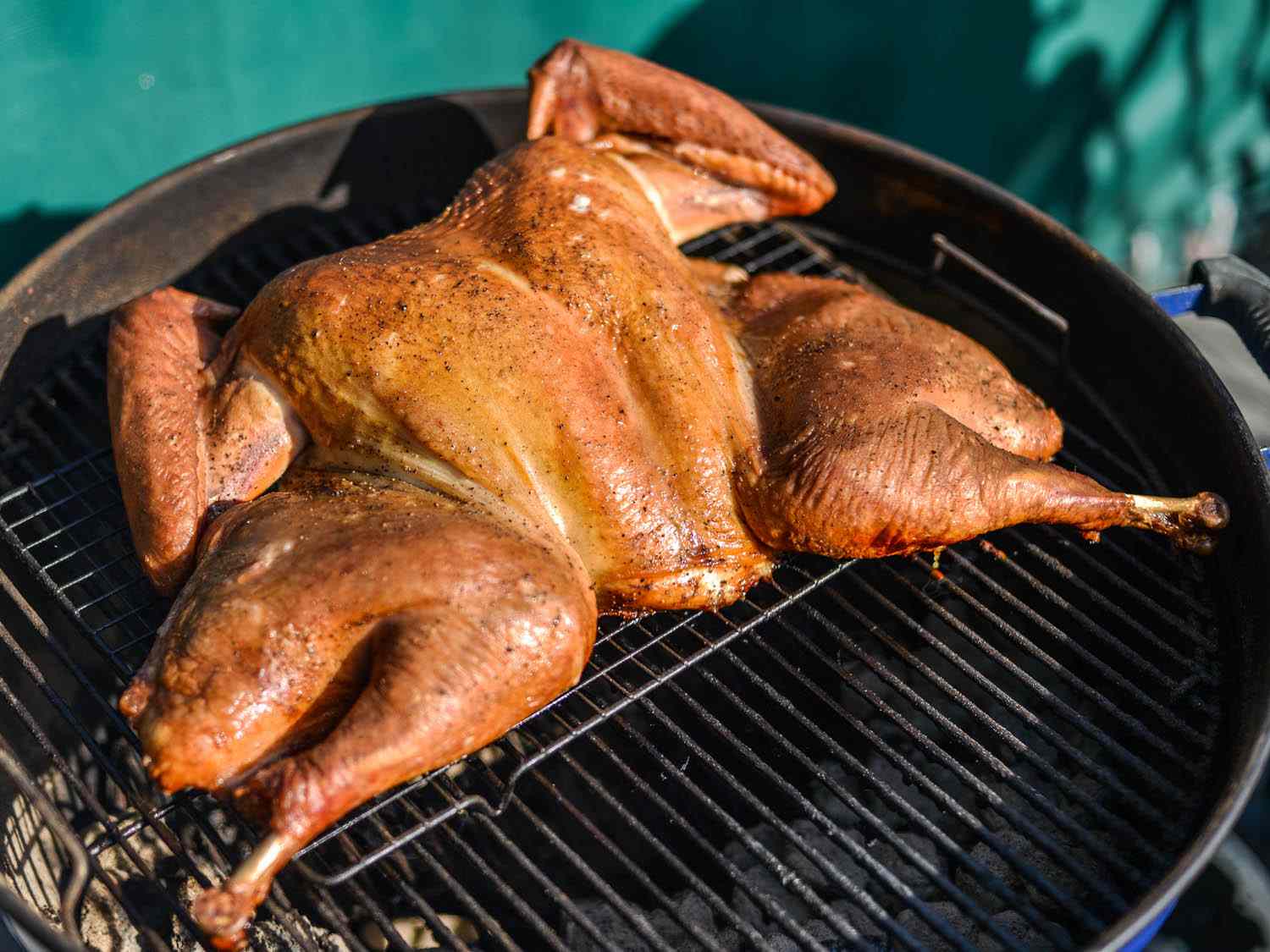 Side view of griled spatchcocked turkey on a kettle-style grill.