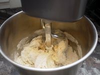 the dough hook and breaker bar kneading pizza dough