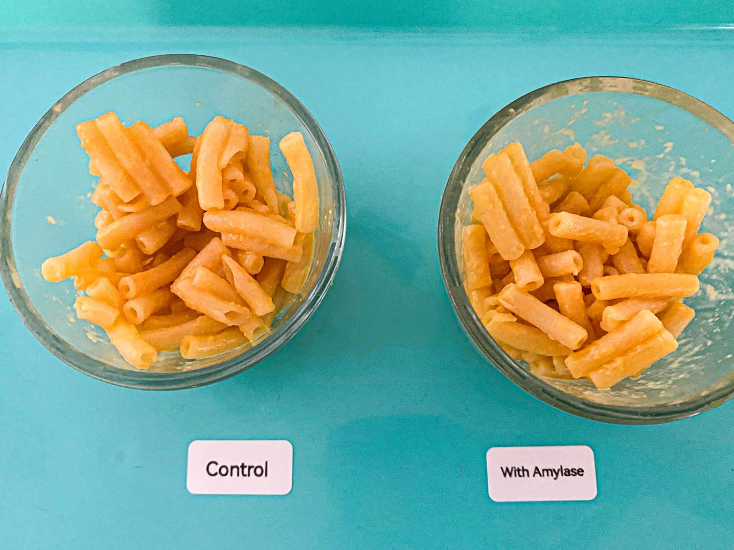 MAc and cheese test