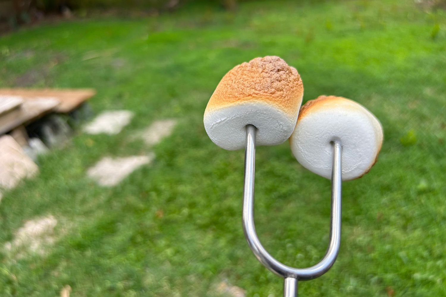 Jolly Green Roast‘Em Marshmallow Roasting Sticks roasting marshmallows.
